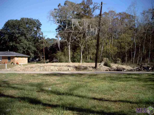 $29,000 | 0 North Anita Street, Gonzales, LA 70737