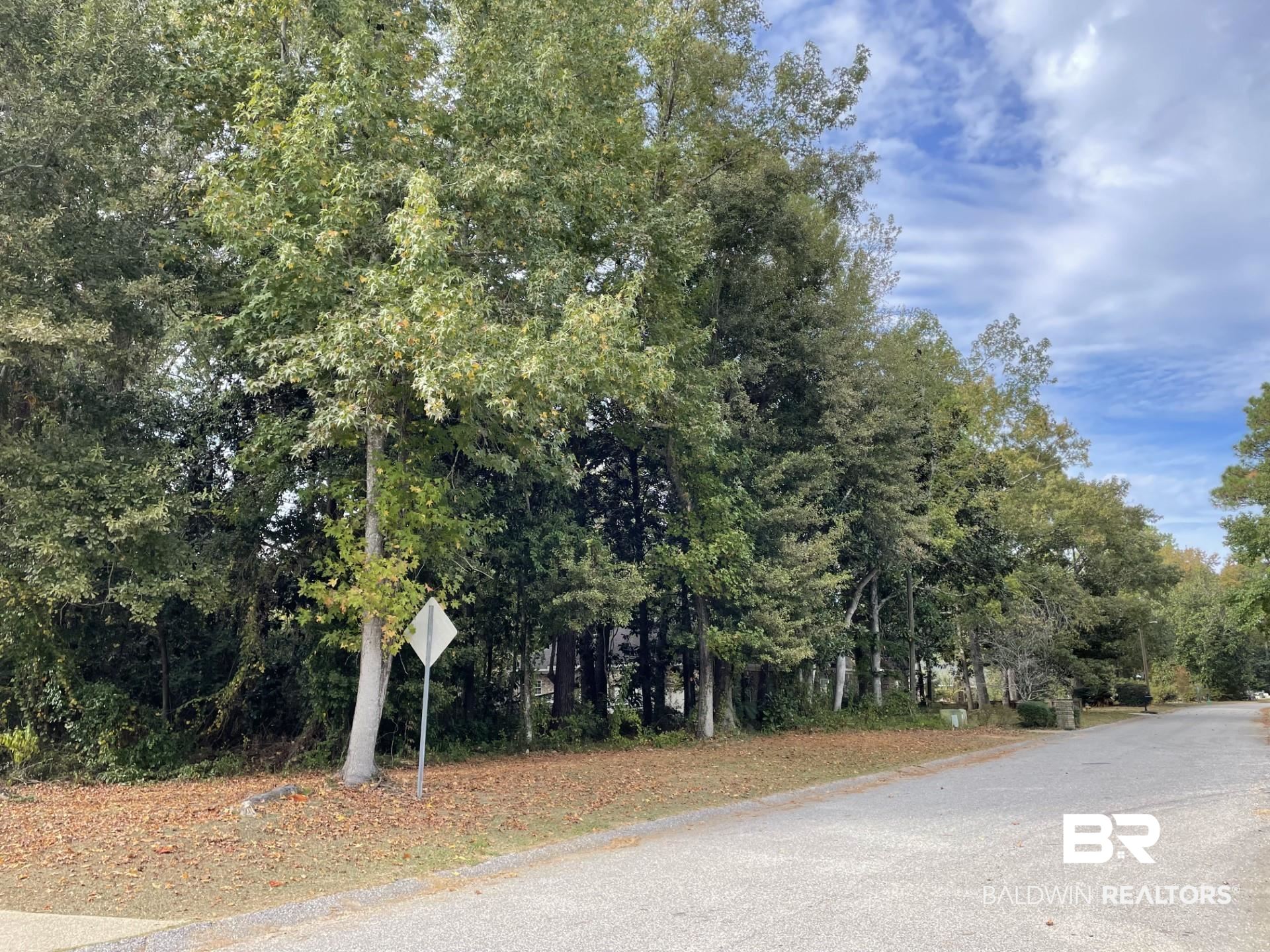 0 Signal Hill Road Daphne, AL 36527 - Photo 1 of 4