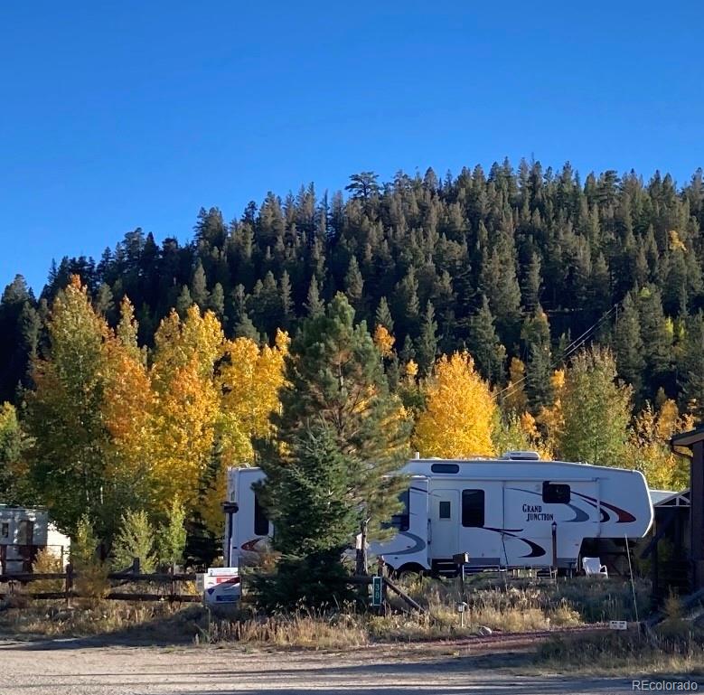 44 Clubcar Road Fairplay, CO 80440 - Photo 5 of 13 a view of a yard with a tree