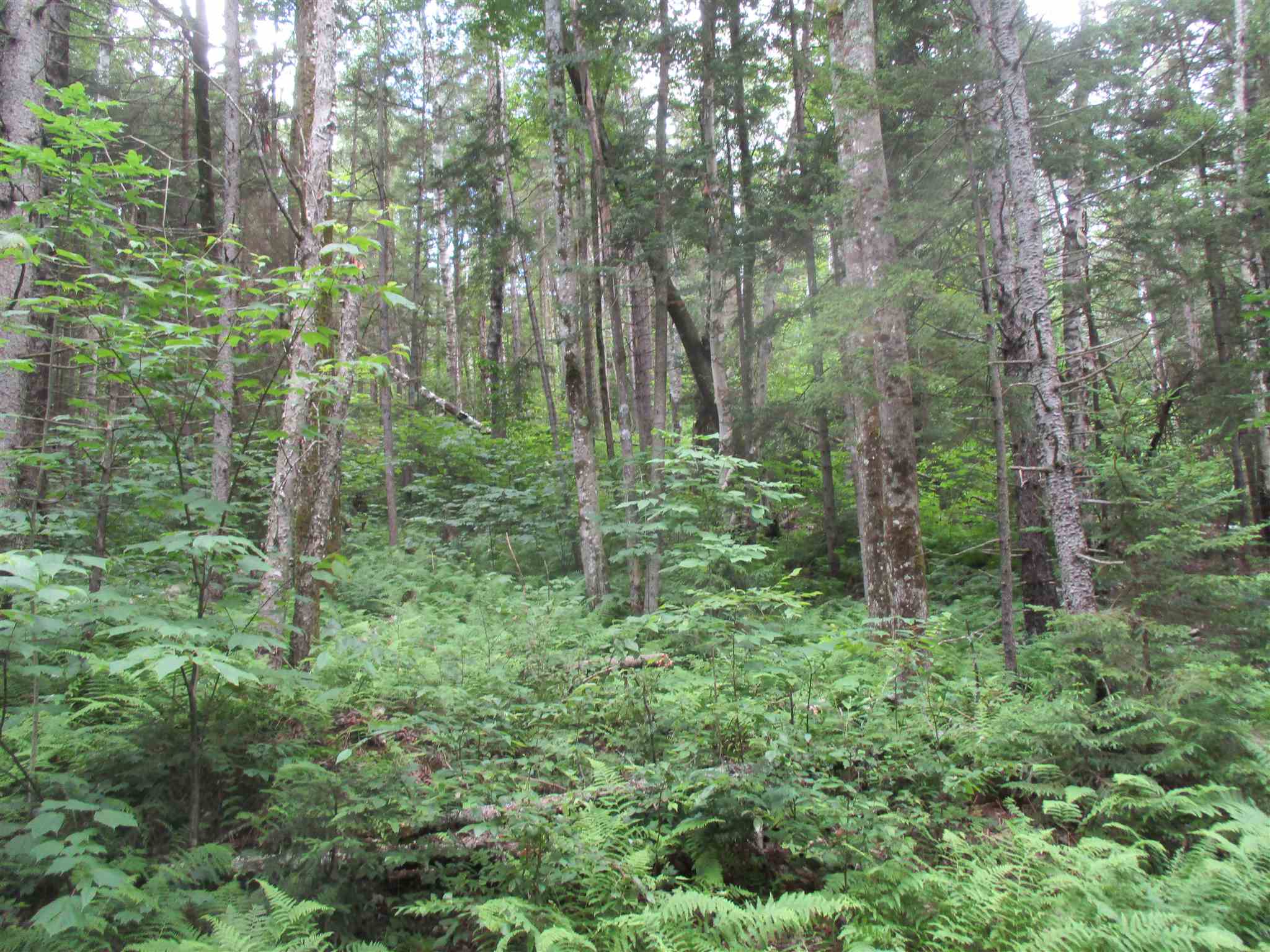 0 Walker Road Braintree, VT 05060 - Photo 2 of 10