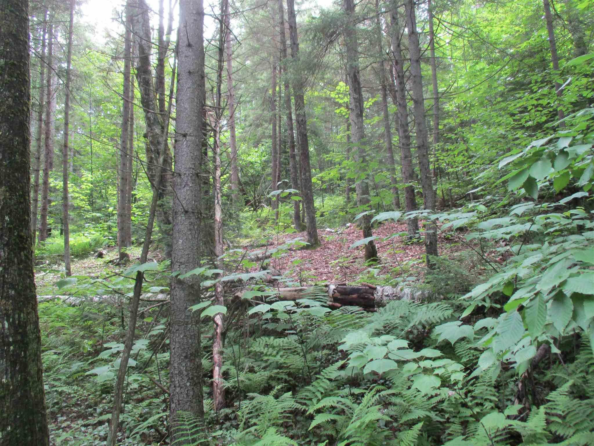 0 Walker Road Braintree, VT 05060 - Photo 3 of 10