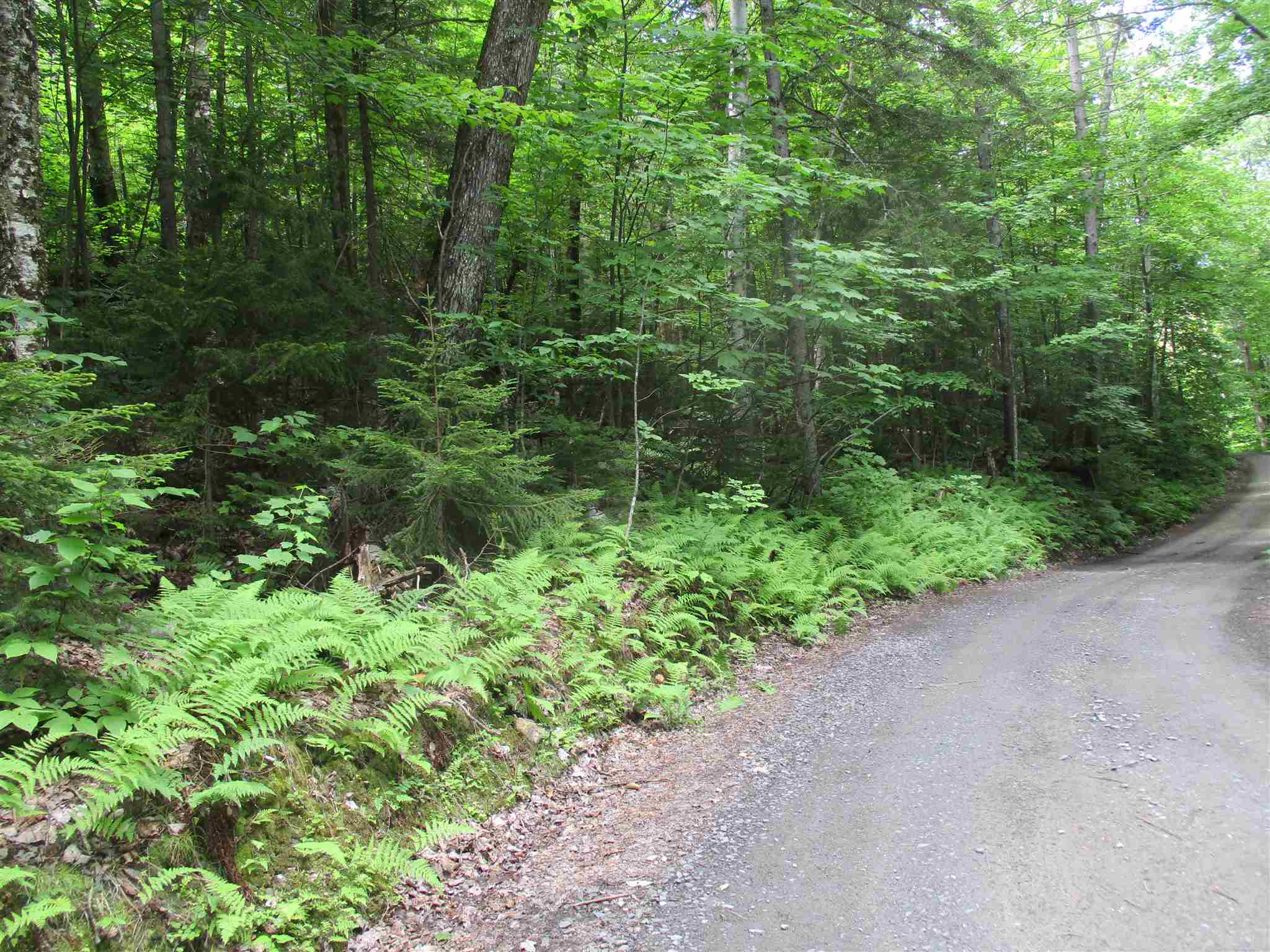 0 Walker Road Braintree, VT 05060 - Photo 5 of 10