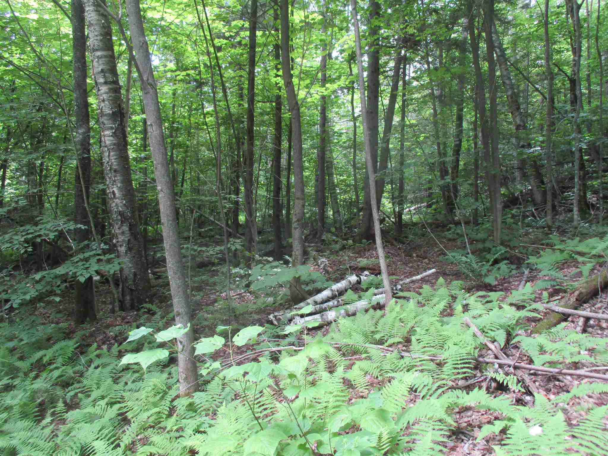 0 Walker Road Braintree, VT 05060 - Photo 6 of 10