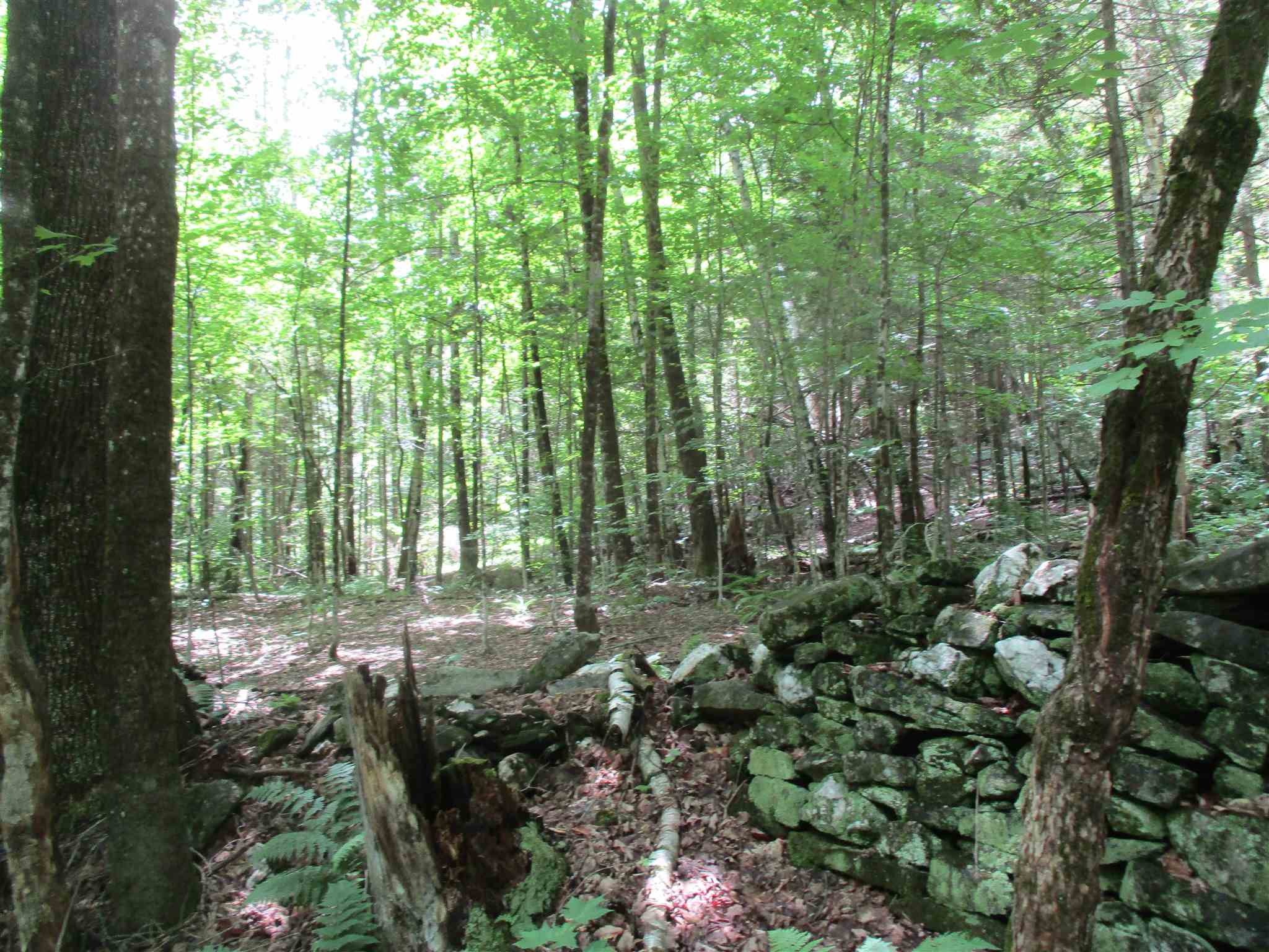 0 Walker Road Braintree, VT 05060 - Photo 7 of 10