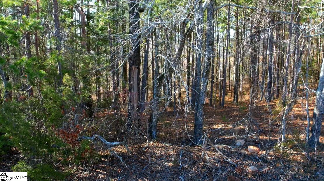 346 Terry Road Fountain Inn, SC 29644 - Photo 4 of 5