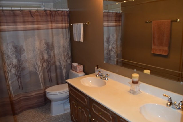 11044 Menard Avenue Chicago Ridge, IL 60415 - Photo 12 of 27