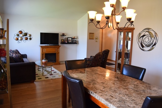 11044 Menard Avenue Chicago Ridge, IL 60415 - Photo 5 of 27