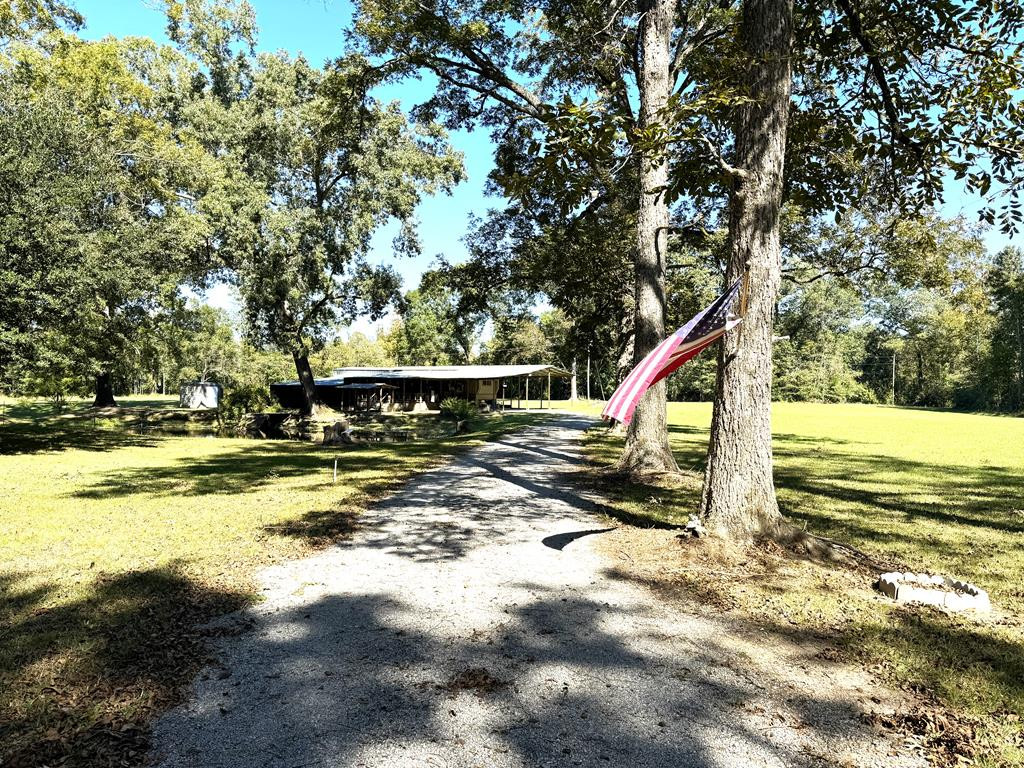 31 Buckhurst Plantation Road Natchez, MS 39120 - Photo 1 of 32 Main View