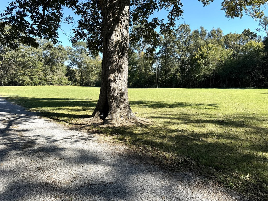 31 Buckhurst Plantation Road Natchez, MS 39120 - Photo 18 of 32 Photo 18