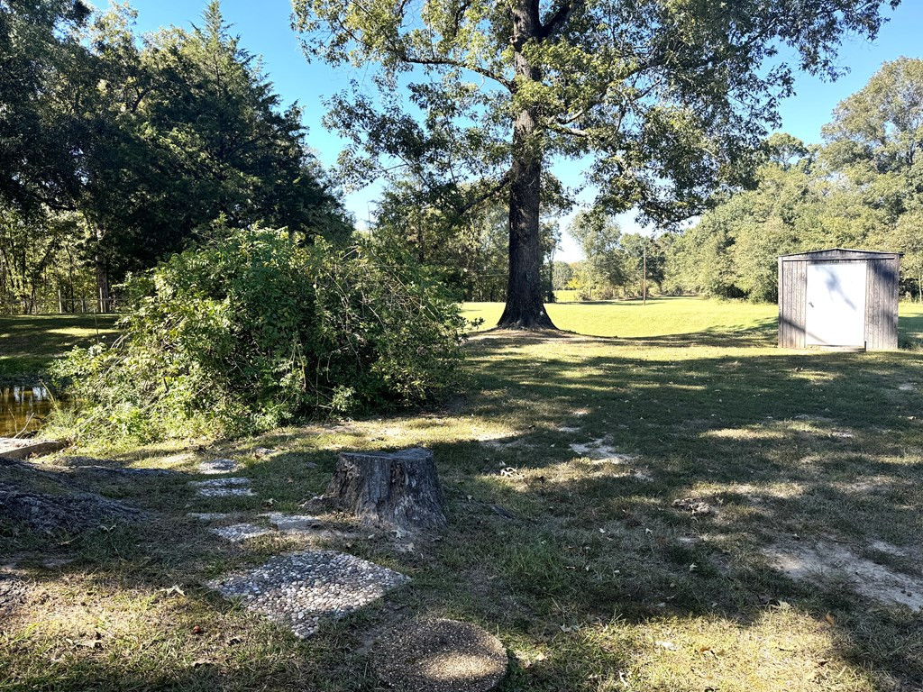 31 Buckhurst Plantation Road Natchez, MS 39120 - Photo 20 of 32 Photo 20