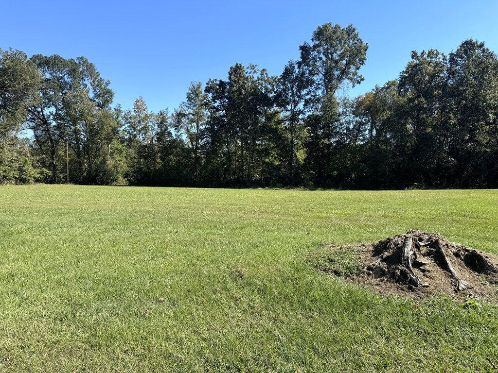 31 Buckhurst Plantation Road Natchez, MS 39120 - Photo 21 of 32 Photo 21