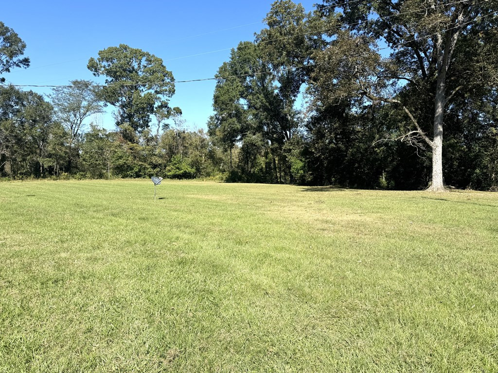 31 Buckhurst Plantation Road Natchez, MS 39120 - Photo 22 of 32 Photo 22