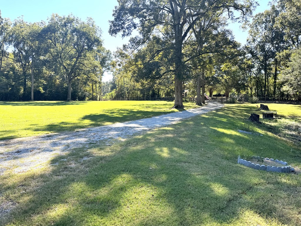 31 Buckhurst Plantation Road Natchez, MS 39120 - Photo 24 of 32 Photo 24