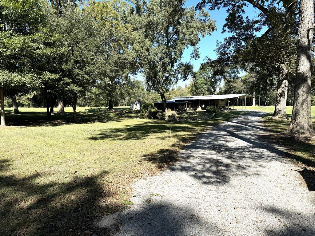 31 Buckhurst Plantation Road Natchez, MS 39120 - Photo 3 of 32 Photo 3