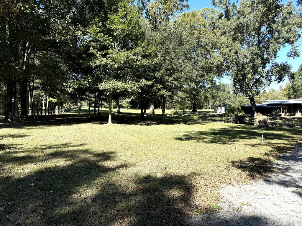31 Buckhurst Plantation Road Natchez, MS 39120 - Photo 4 of 32 Photo 4