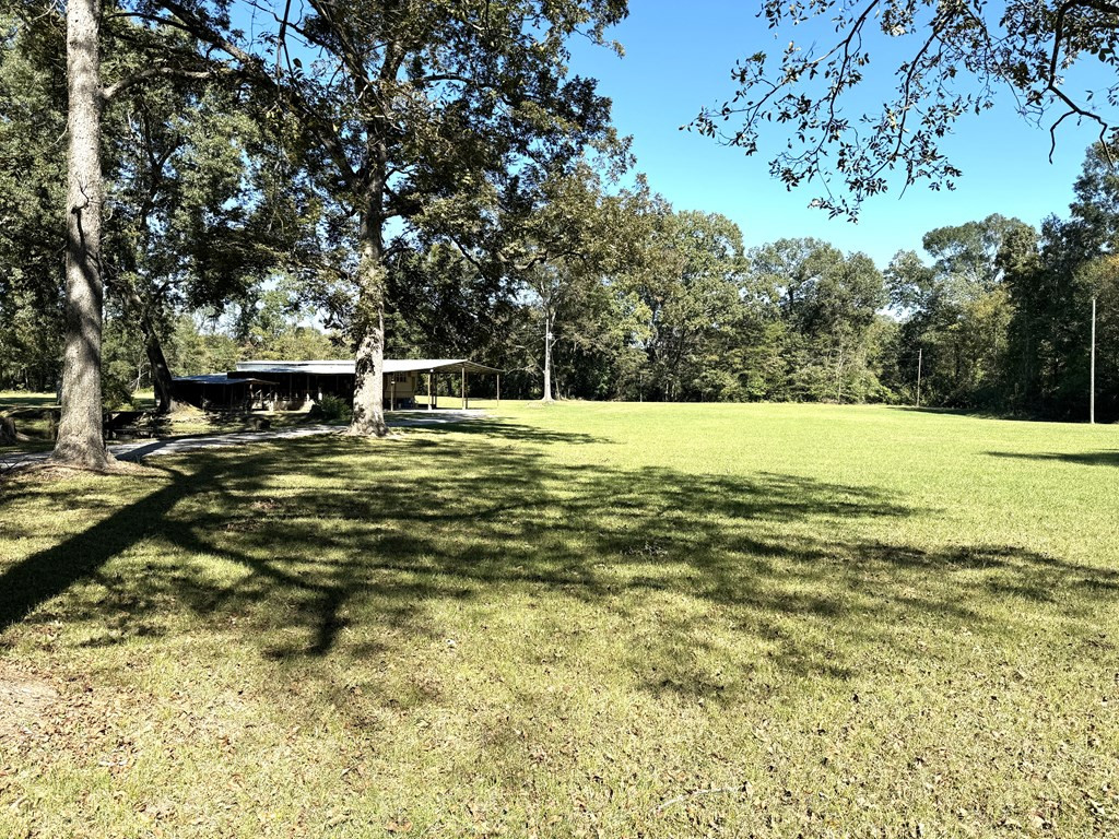 31 Buckhurst Plantation Road Natchez, MS 39120 - Photo 8 of 32 Photo 8