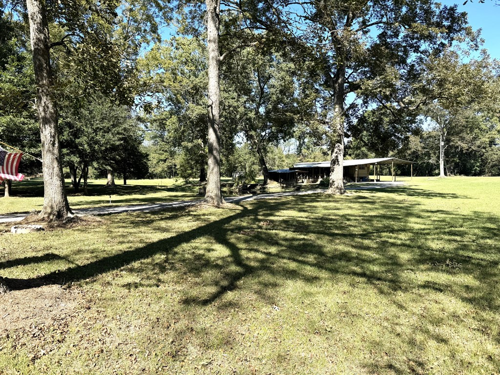 31 Buckhurst Plantation Road Natchez, MS 39120 - Photo 9 of 32 Photo 9