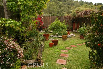 1852 Alpha Road Glendale, CA 91208 - Photo 11 of 13 a view of a garden with plants and large trees