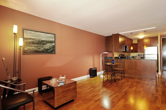 720 West Gordon Terrace, Unit 17M Chicago, IL 60613 - Photo 4 of 10