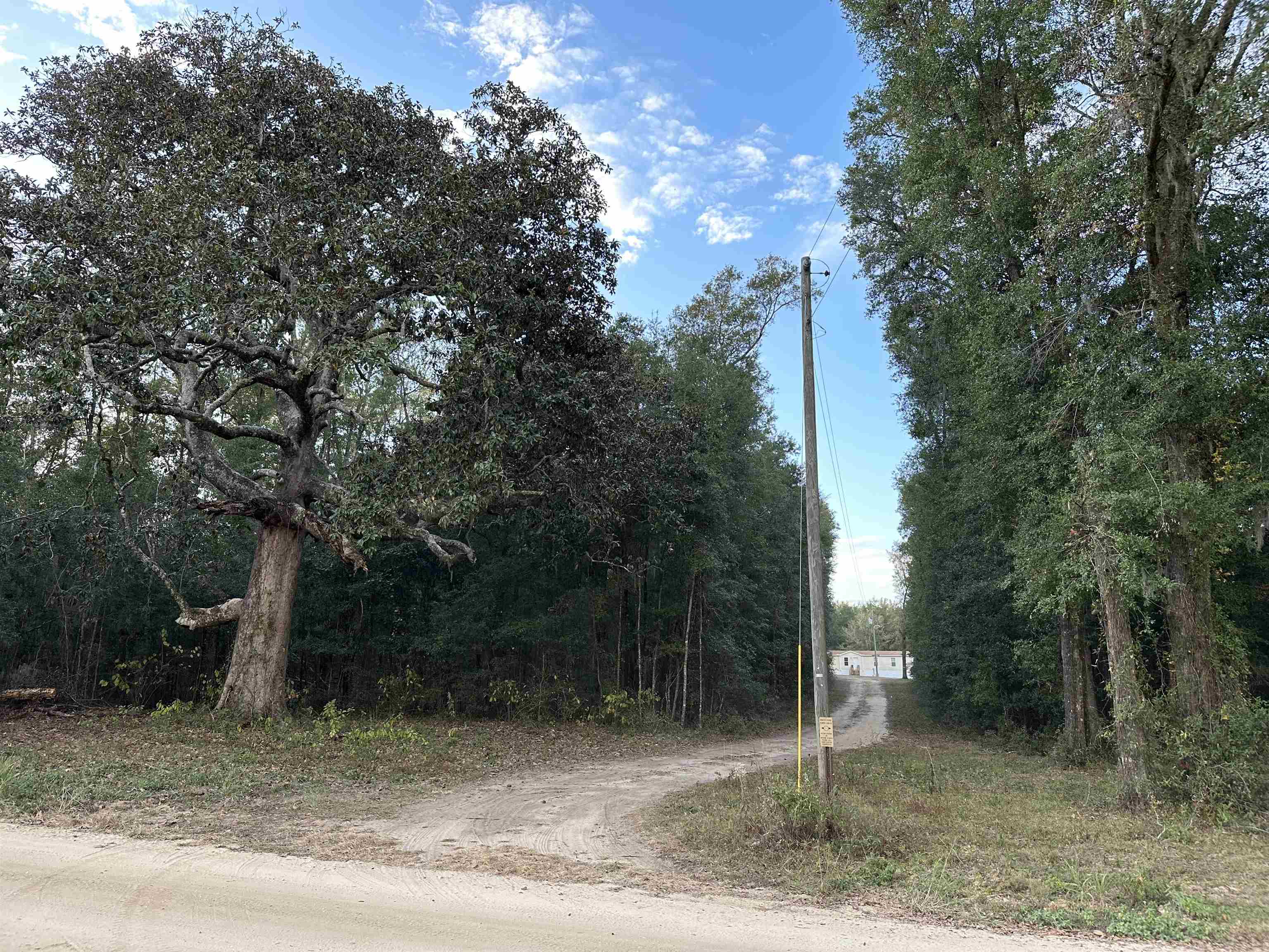 882 Northwest Circle Road Madison, FL 32340 - Photo 1 of 23 Gallery Image 1