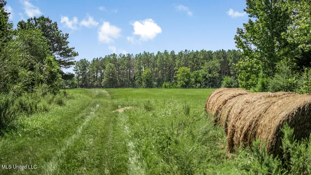 $2,495,000 | 3088 Terrys Creek Road, Magnolia, MS 39652