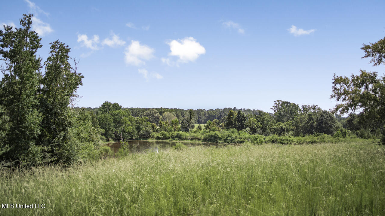 3088 Terrys Creek Road Magnolia, MS 39652 - Photo 40 of 64 570A1884