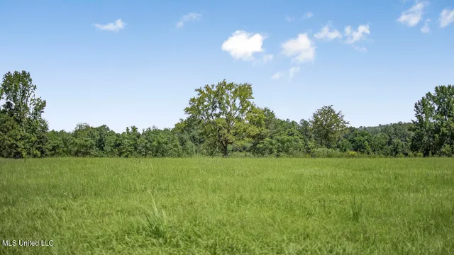 $2,495,000 | 3088 Terrys Creek Road, Magnolia, MS 39652