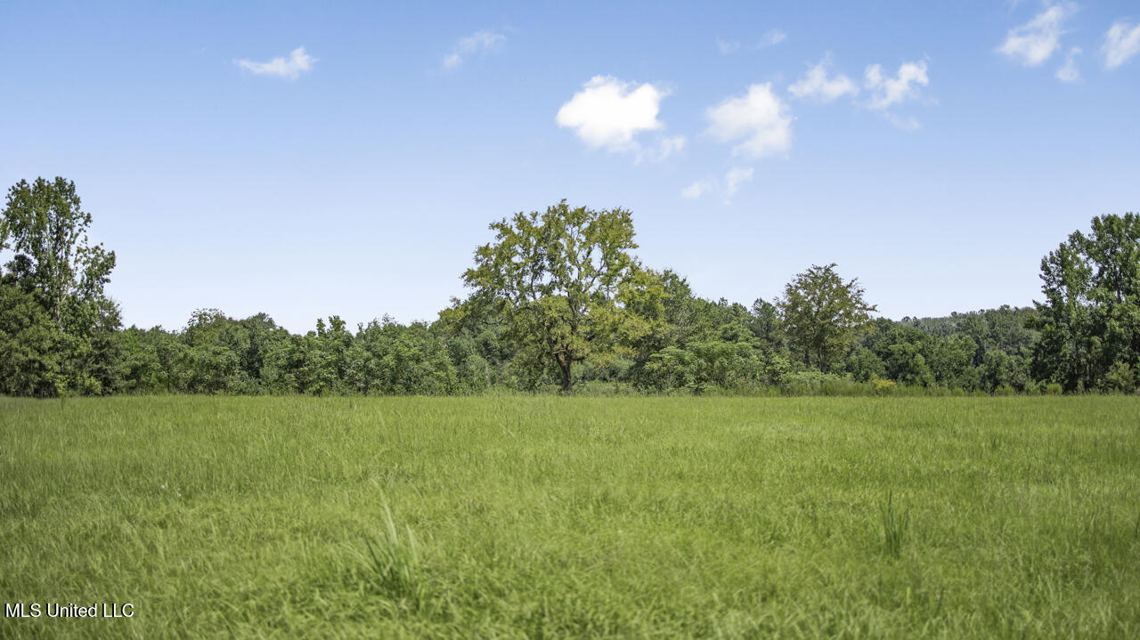 3088 Terrys Creek Road Magnolia, MS 39652 - Photo 41 of 64 570A1885