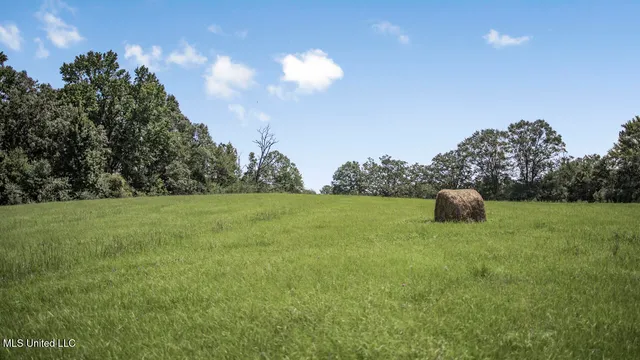 $2,495,000 | 3088 Terrys Creek Road, Magnolia, MS 39652