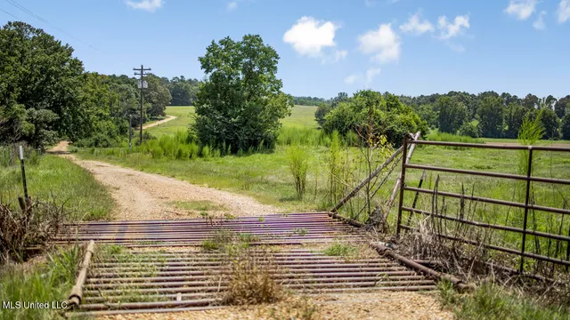 $2,495,000 | 3088 Terrys Creek Road, Magnolia, MS 39652