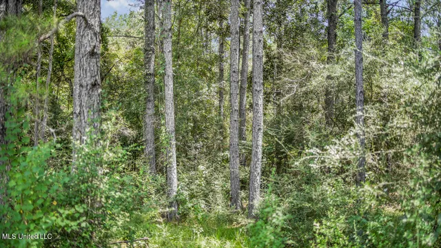 $2,495,000 | 3088 Terrys Creek Road, Magnolia, MS 39652