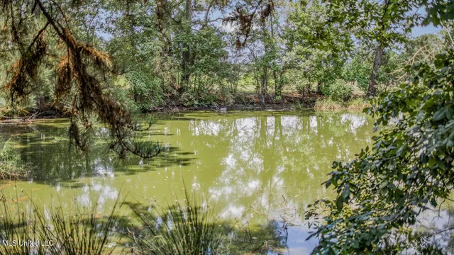 $2,495,000 | 3088 Terrys Creek Road, Magnolia, MS 39652