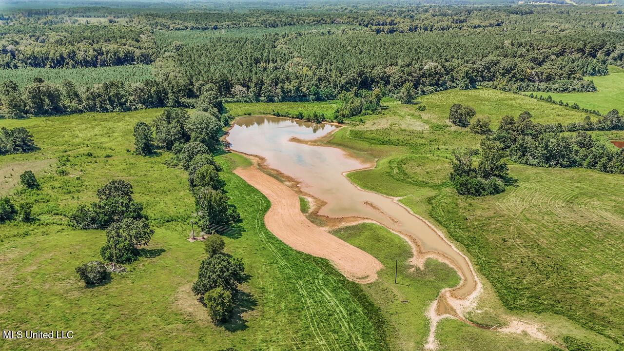 3088 Terrys Creek Road Magnolia, MS 39652 - Photo 55 of 64 DJI_20250818113951_0519_D