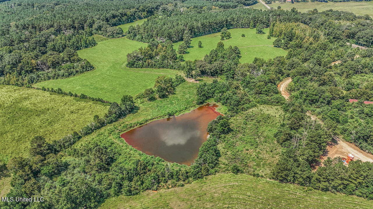 3088 Terrys Creek Road Magnolia, MS 39652 - Photo 56 of 64 DJI_20250818114105_0526_D