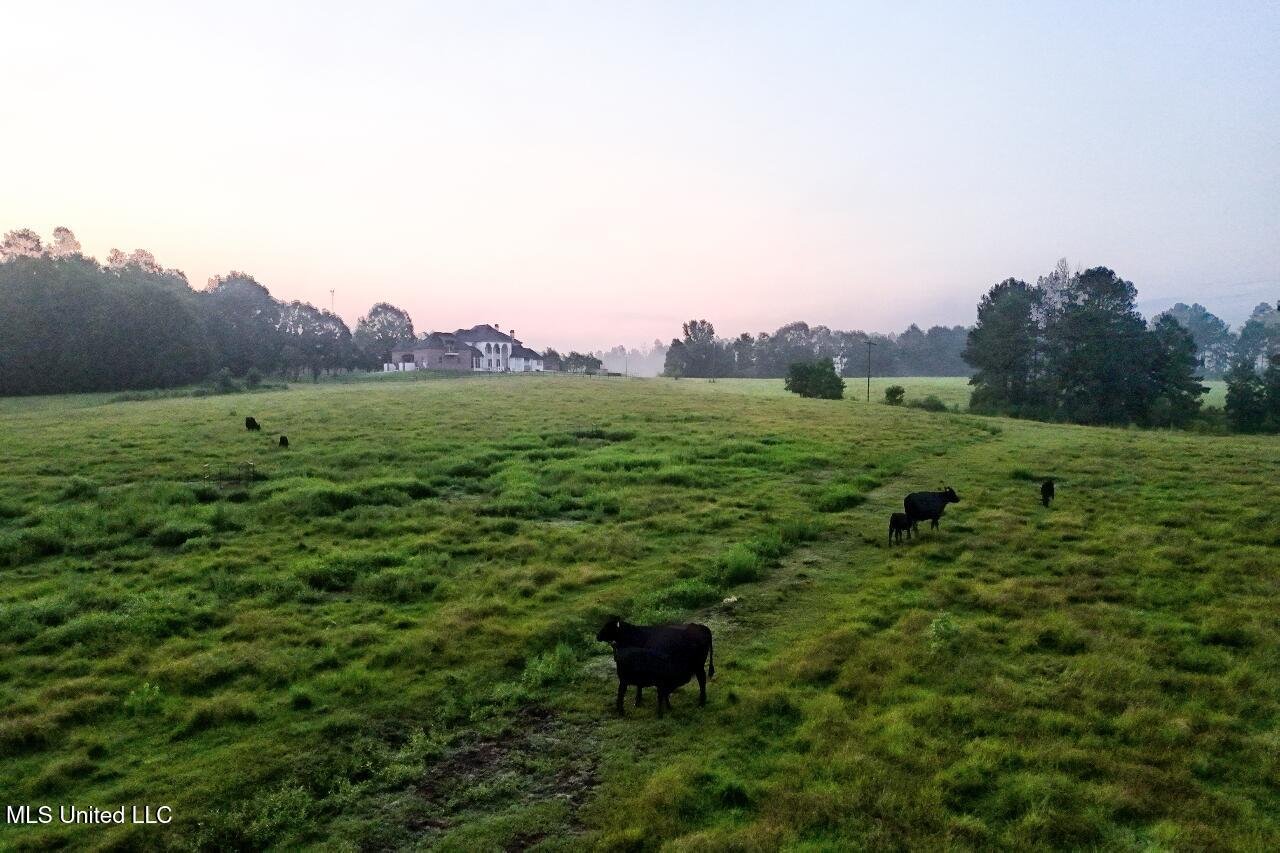 3088 Terrys Creek Road Magnolia, MS 39652 - Photo 58 of 64 DJI_20250819062118_0552_D_3_D_4_D