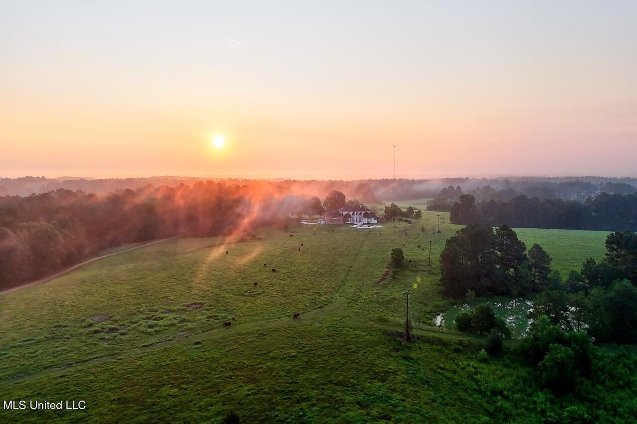 3088 Terrys Creek Road Magnolia, MS 39652 - Photo 62 of 64 DJI_20250819064912_0571_D_2_D_3_D