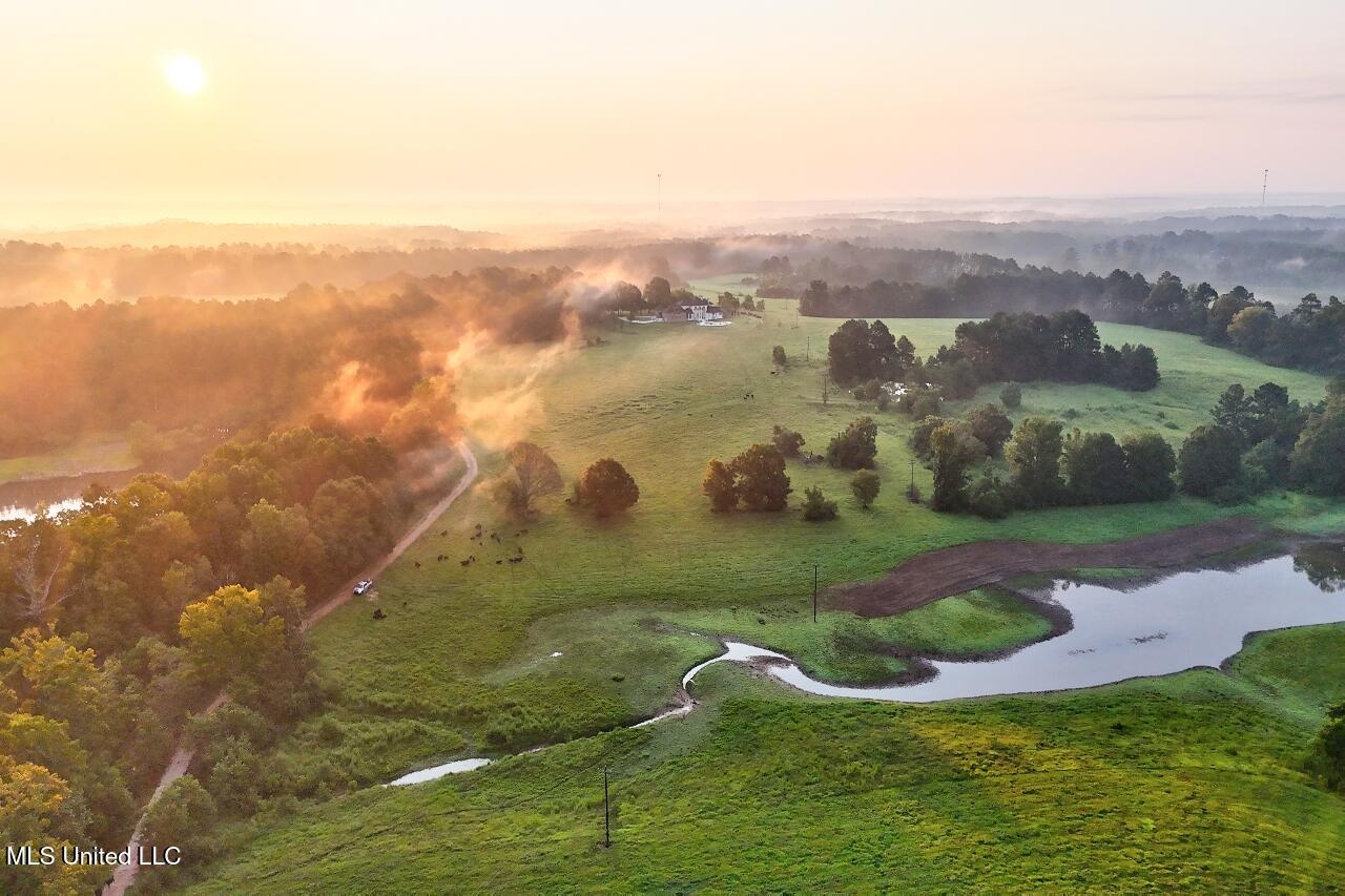 3088 Terrys Creek Road Magnolia, MS 39652 - Photo 64 of 64 DJI_20250819065646_0585_D_6_D_7_D