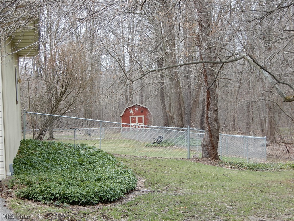 7400 Brakeman Road Painesville, OH 44077 - Photo 9 of 35 Side yard