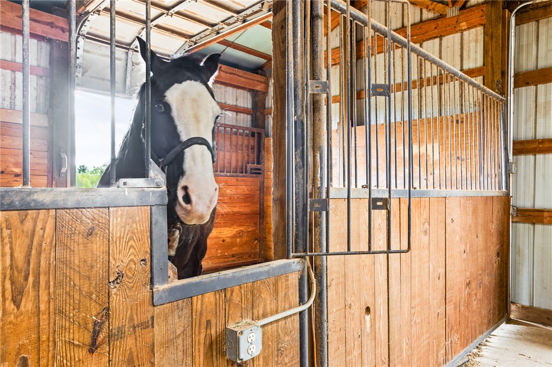 4222 Ramsey Road Springfield, OH 45502 - Photo 62 of 79 This spacious stable provides a comfortable and secure home for horses.