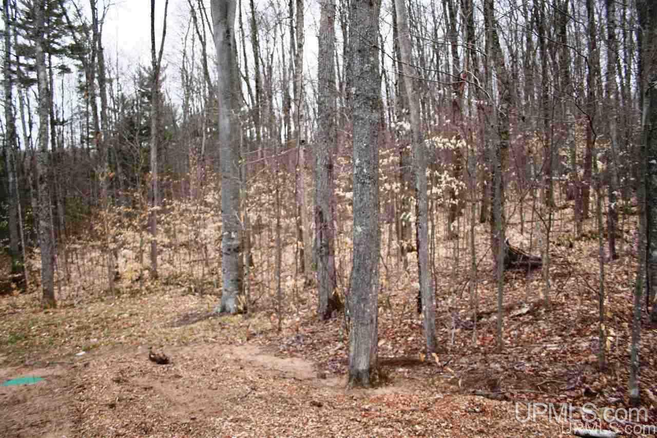 N179 North Round Lake Road Wetmore, MI 49895 - Photo 29 of 40 Gallery Image 29