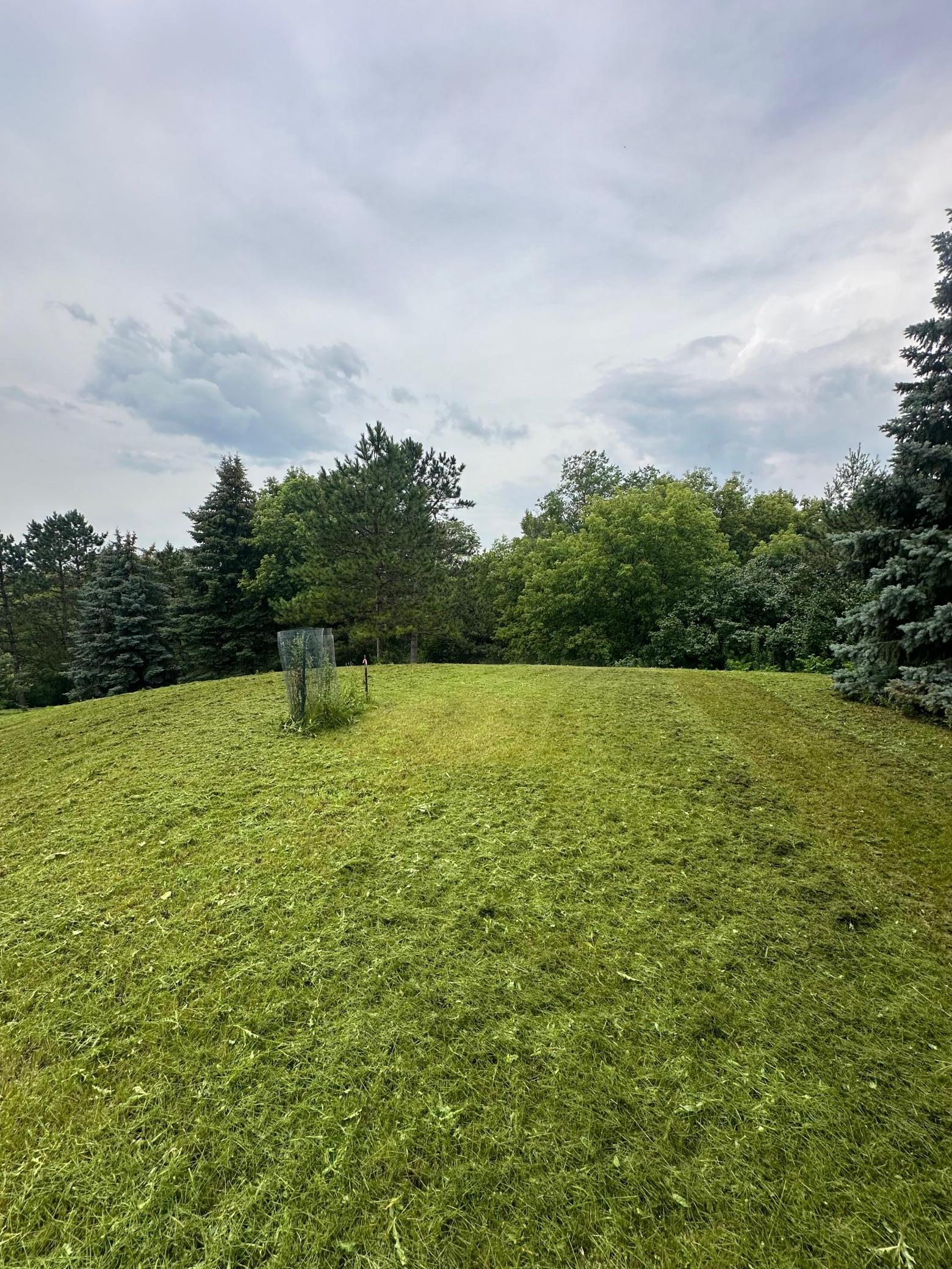 7200 Comstock Lane North Maple Grove, MN 55311 - Photo 4 of 5