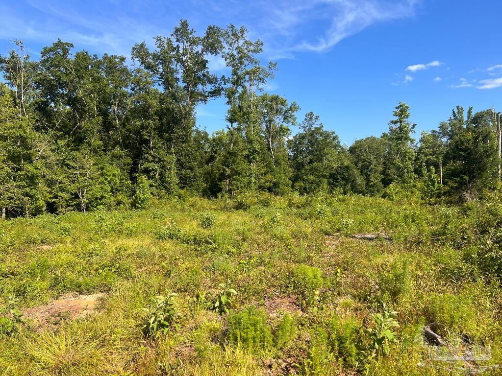 Lot 5 Cotton Lk Rd  
