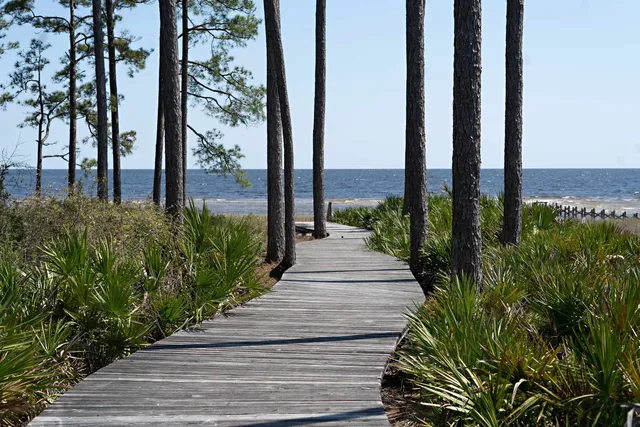 $69,900 | 133 Winding Trail Way, Unit LOT 386 EAST, Sopchoppy, FL 32358