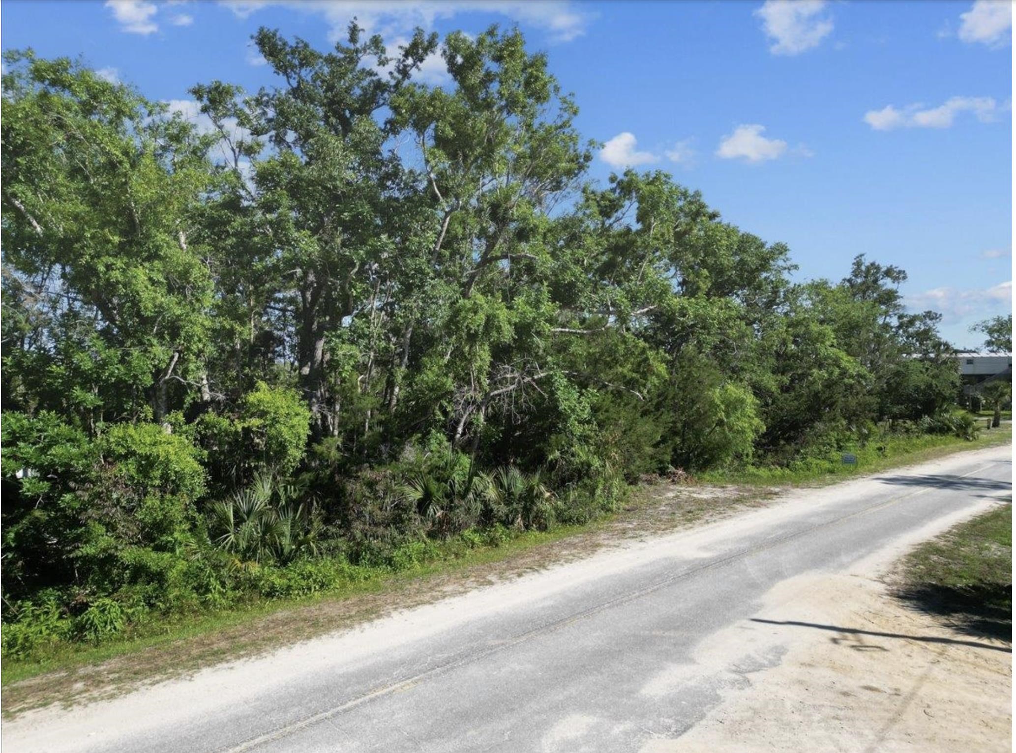 0 Spring Warrior Road Perry, FL 32348 - Photo 8 of 12 Gallery Image 8