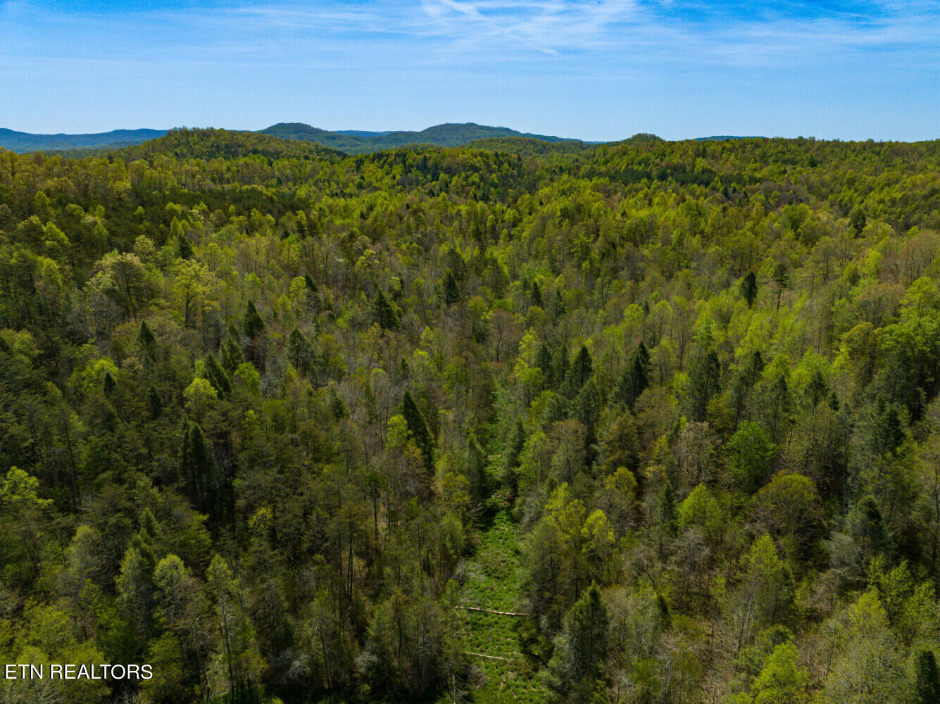 Lot 6 Big Four Road La Follette, TN 37766 - Photo 3 of 12 664d5ea23555c