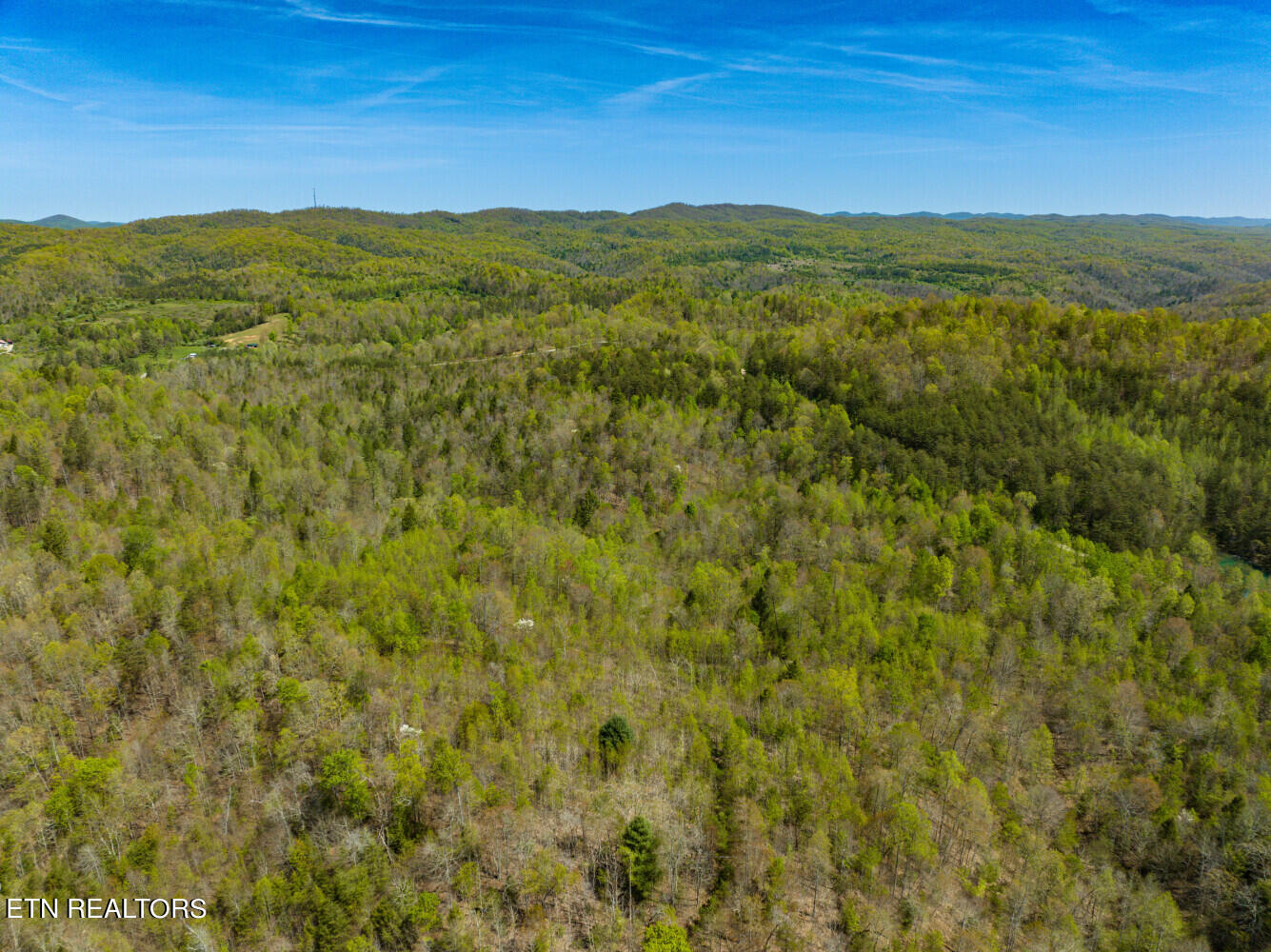 Lot 6 Big Four Road La Follette, TN 37766 - Photo 4 of 12 664d5e0b13178