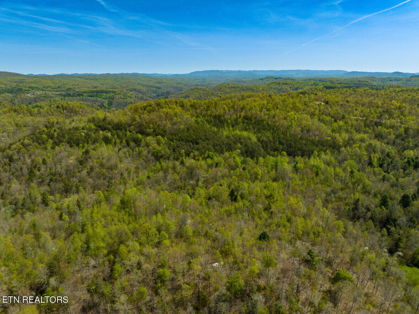 Lot 6 Big Four Road La Follette, TN 37766 - Photo 6 of 12 664d5e23dfc4c