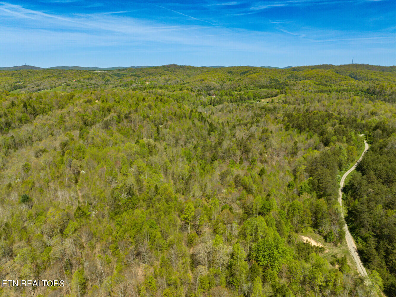 Lot 6 Big Four Road La Follette, TN 37766 - Photo 9 of 12 664d5dbff19d2