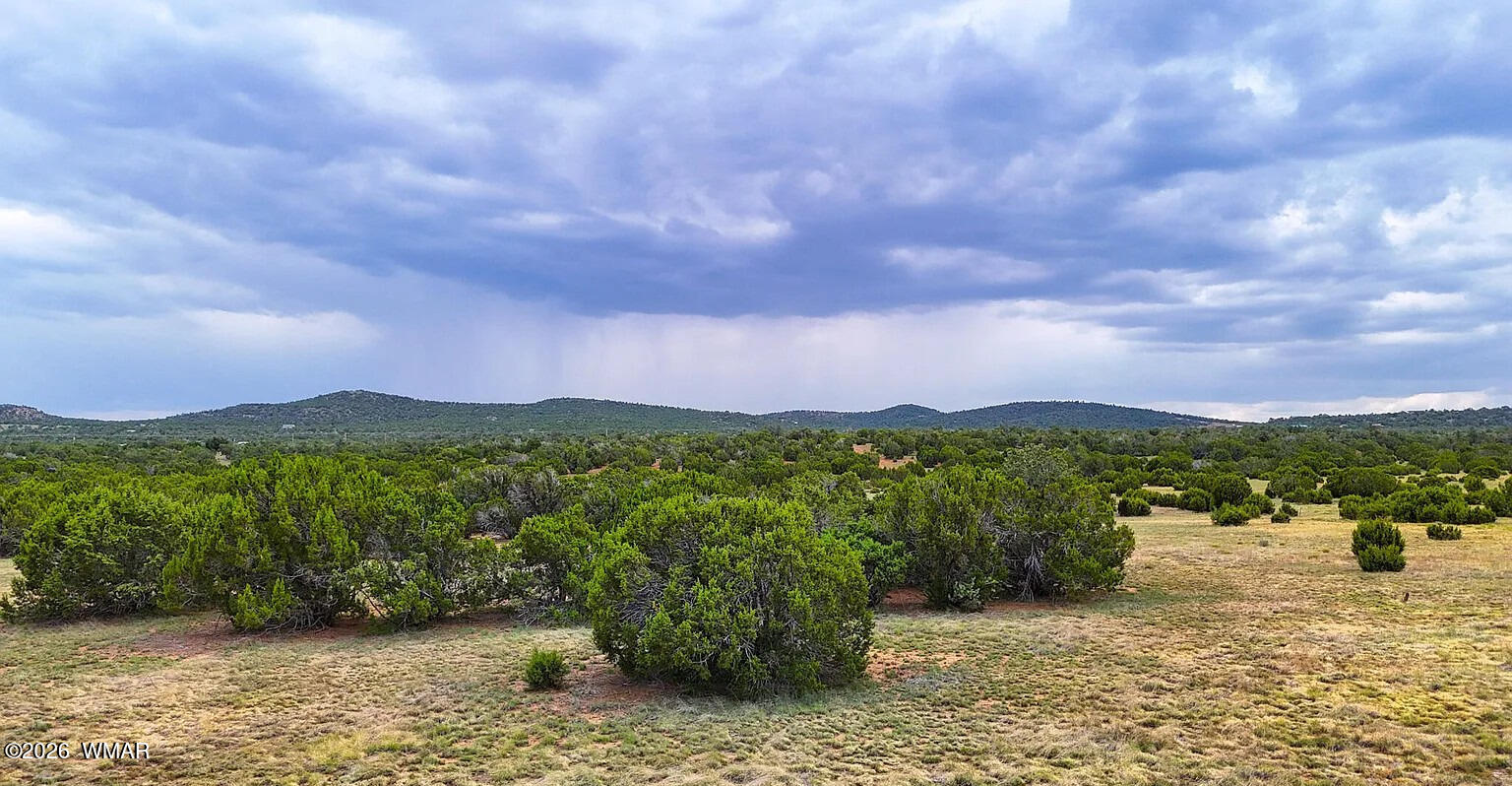 0 Vernon Concho, AZ 85924 - Photo 7 of 10