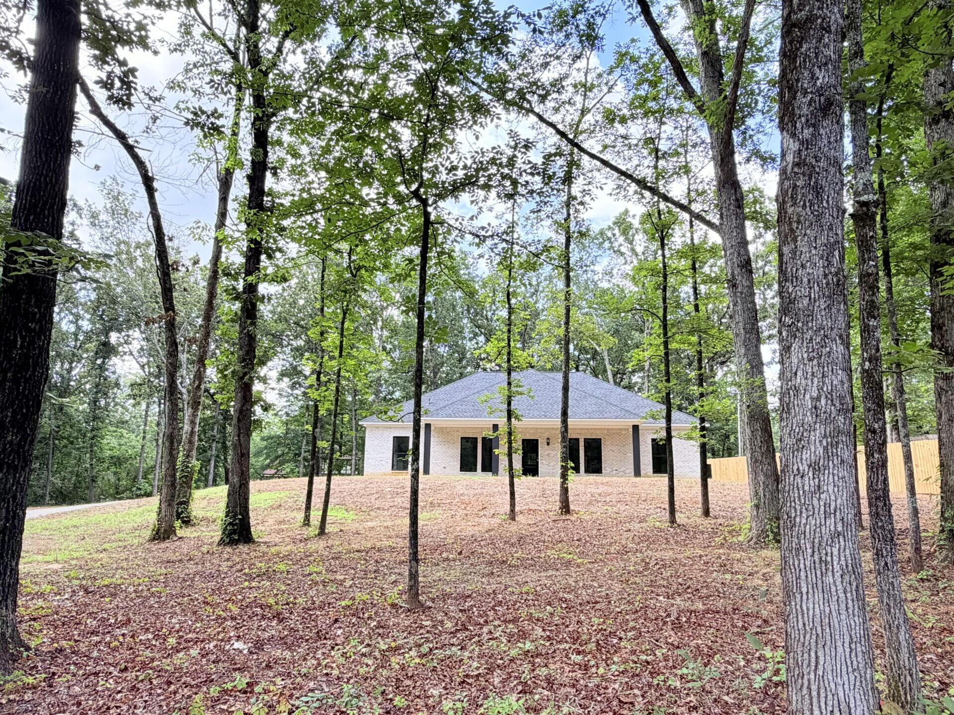 105 Brandywine Road Belden, MS 38826 - Photo 1 of 1 Gallery Image 1